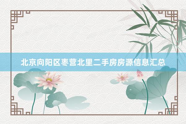 北京向阳区枣营北里二手房房源信息汇总